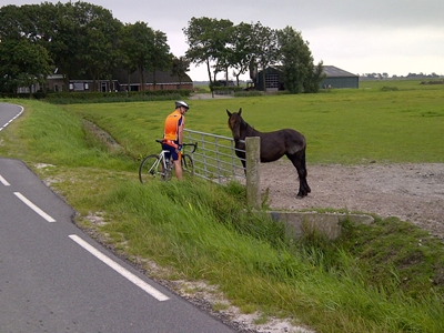 friesland05.jpg